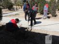 گزارش تصویری مراسم روز درختکاری